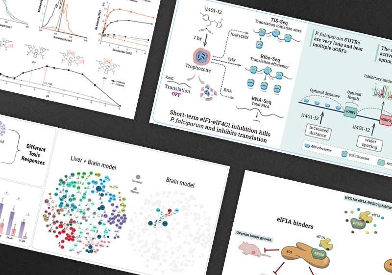 A collection of scientific figures and graphical abstracts including molecular pathway diagrams, fluorescence spectroscopy charts, brain organoid toxicity data and ribosome biology illustrations