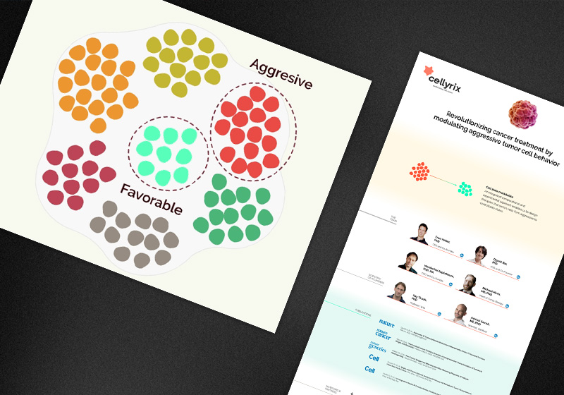 Cellyrix website animation showing a colorful bubble cluster diagram representing aggressive and favorable tumor cell states, alongside the Cellyrix website homepage with founder team and publication listings